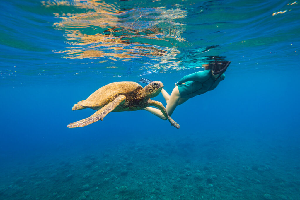 Deep ocean in Maui, Hawaii