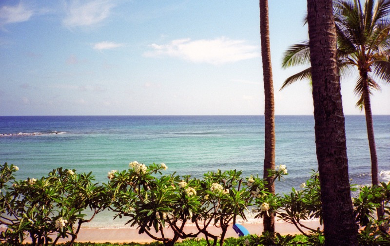 Maui Beach