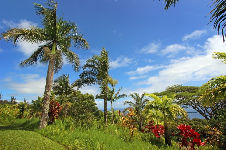 maui tropical paradise